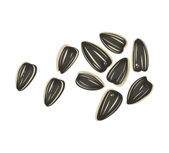 Grape Seed