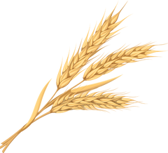 Hydrolyzed Wheat Protein