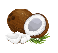 Coconut Fruit Extract