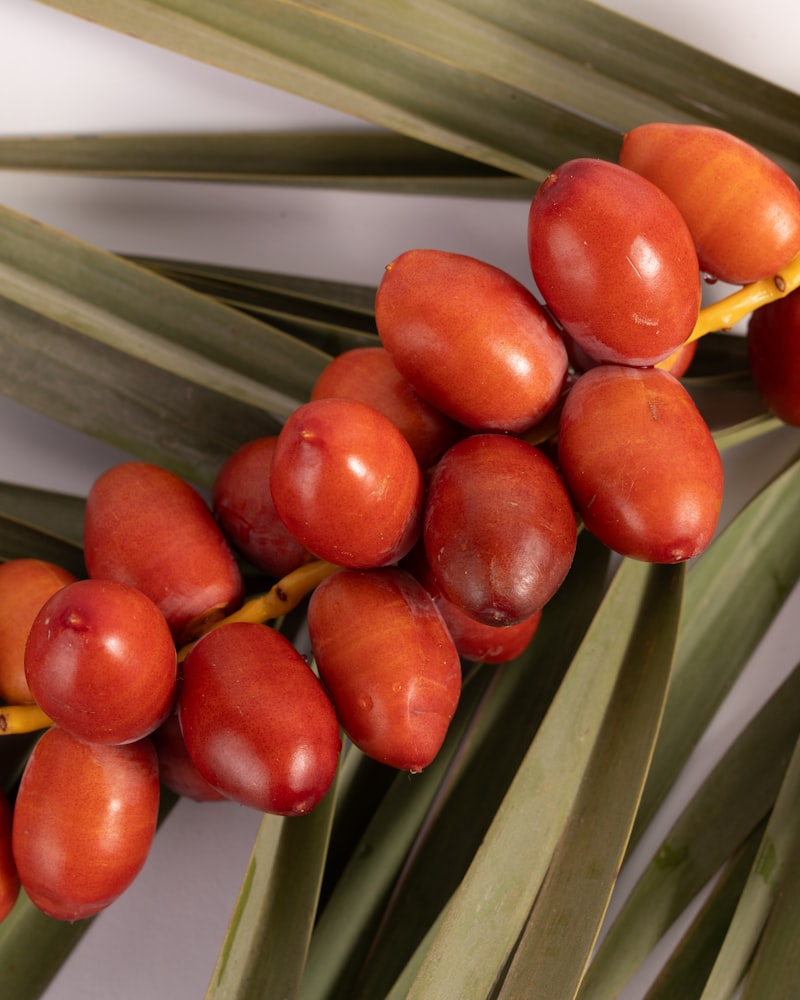 Capsaicin